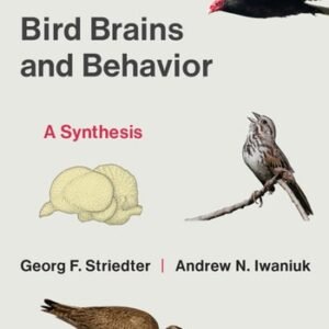 (eBook) Bird Brains and Behavior By Georg F. Striedter
