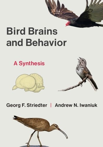 (eBook) Bird Brains and Behavior By Georg F. Striedter
