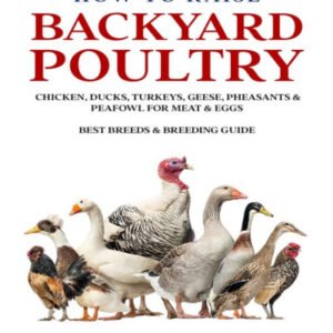 (eBook) How To Raise Backyard Poultry : Chicken, Ducks, Turkeys, Geese, Pheasants & Peafowl For Meat & Eggs - Best Breeds & Breeding Guide by Pat Sanders