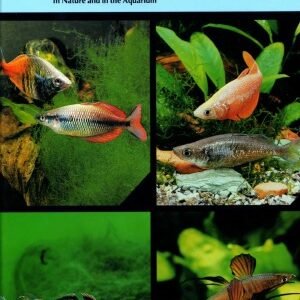 (eBook) Rainbowfishes In Nature and in the Aquarium by Gerald R. Allen