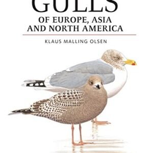 (eBook) Gulls of Europe, Asia and North America By Klaus Malling Olsen