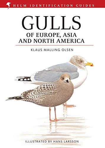 (eBook) Gulls of Europe, Asia and North America By Klaus Malling Olsen