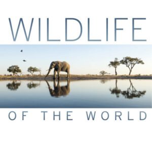 (eBook) Wildlife of the World By Dorling Kindersley