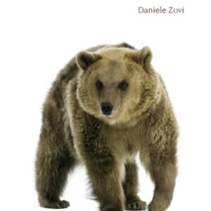 (eBook) Storia di Dino e altri orsi By Daniele Zovi