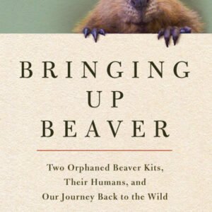 (eBook) Bringing Up Beaver: Two Orphaned Beaver Kits, Their Humans, and Our Journey Back to the Wild. By John Aberth