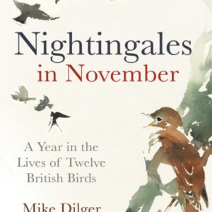 (eBook) Nightingales in November By Mike Dilger