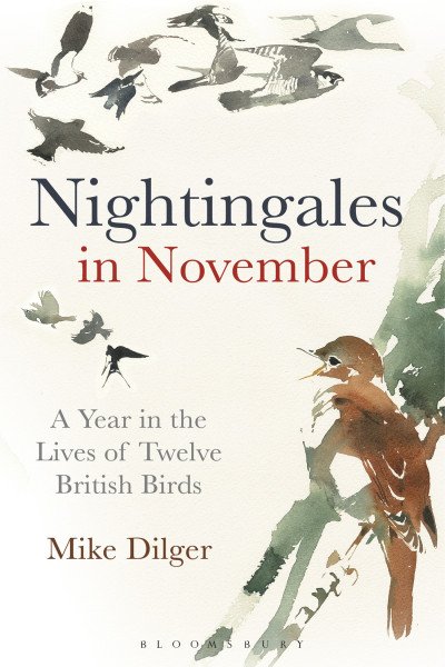 (eBook) Nightingales in November By Mike Dilger