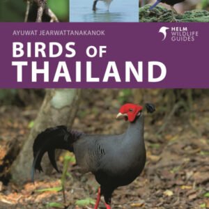 (eBook) Birds of Thailand By Ayuwat Jearwattanakanok