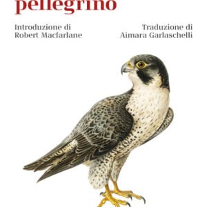 (eBook) Il falco pellegrino By John Alec Baker