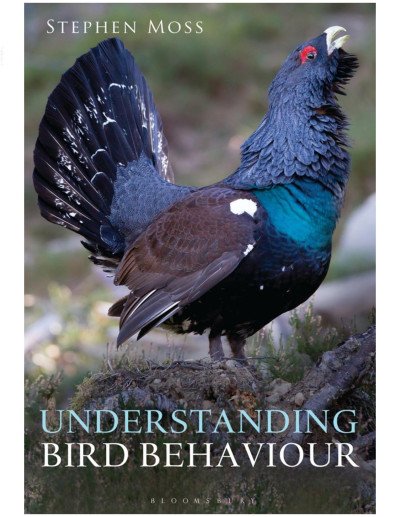 (eBook) Understanding Bird Behaviour By Stephen Moss
