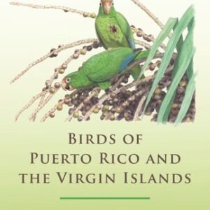 (eBook) Birds of Puerto Rico and the Virgin Islands: Fully Revised and Updated Third Edition By Herbert A. Raffaele