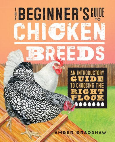 (eBook) The Beginner's Guide to Chicken Breeds: An Introductory Guide to Choosing the Right Flock by Bradshaw