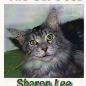 (eBook) The Cat's Job (King of the Cats; Hexapuma; 10th Life; Big Ice; Cat's Job; Ginger and Bully Lowergate Court) By Sharon Lee