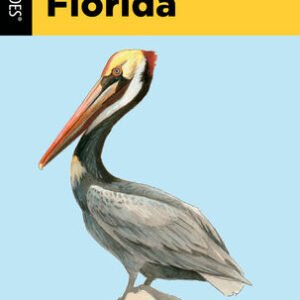(eBook) Birds of Florida By Todd Telander