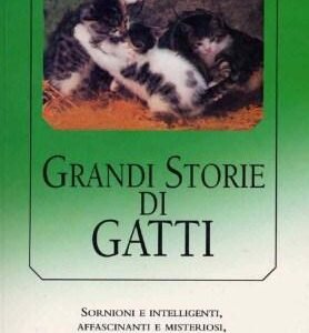 (eBook) Grandi storie di gatti By AA. VV. [AA. VV.]