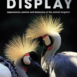 (eBook) Display: Appearance, Posture and Behaviour in the Animal Kingdom By Steve Parker