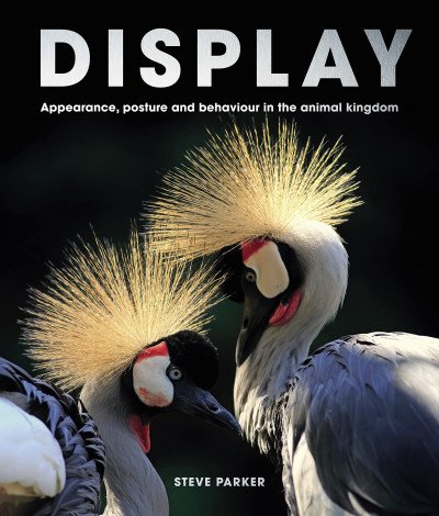 (eBook) Display: Appearance, Posture and Behaviour in the Animal Kingdom By Steve Parker