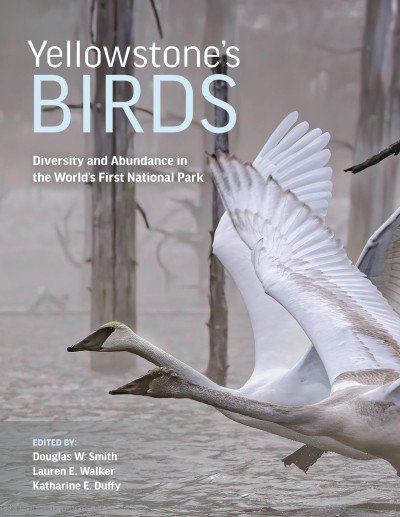 (eBook) Yellowstone’s Birds: Diversity and Abundance in the World’s First National Park By Robert K. Landis Douglas W. Smith