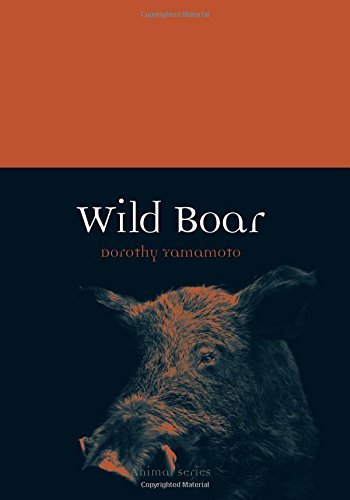(eBook) Wild Boar By Dorothy Yamamoto