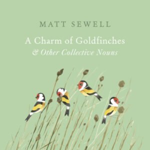 (eBook) A Charm of Goldfinches & Other Collective Nouns By Matt Sewell