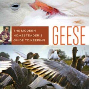 (eBook) The Modern Homesteader's Guide to Keeping Geese by Kirsten Lie-Nielsen