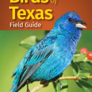 (eBook) Birds of Texas Field Guide (Bird Identification Guides) Second Edition By Stan Tekiela