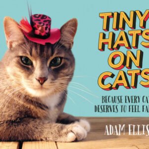 (eBook) Tiny Hats on Cats By Adam Ellis