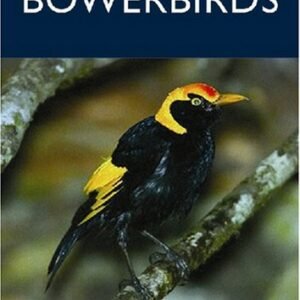 (eBook) Bowerbirds (Australian Natural History) By Peter Rowland