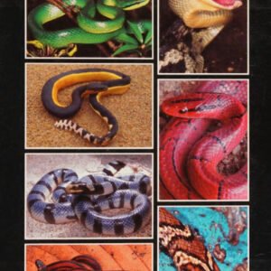 (eBook) Snakes of India, The Field Guide By Romulus Whitaker