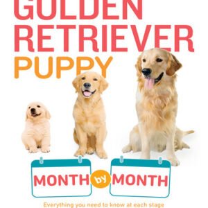 (eBook) Your Golden Retriever Puppy Month by Month: Everything You Need to Know at Each Stage to Ensure Your Cute and Playful Puppy Grows into a Happy, Healthy Companion by Terry Albert