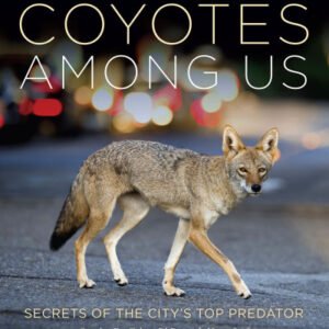 (eBook) Coyotes Among Us: Secrets of the City's Top Predator By Stanley D. Gehrt PhD
