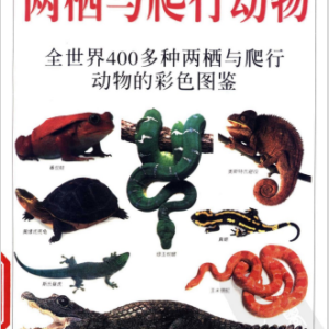 (eBook) 两栖与爬行动物：全世界400多种两栖与爬行动物的彩色图鉴 By 王跃招