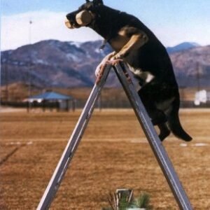 (eBook) Schutzhund: Theory and Training Methods by Barwig