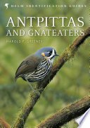 (eBook) Antpittas and Gnateaters By Harold Greeney