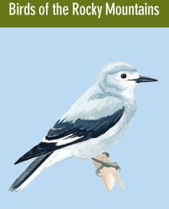 (eBook) Birds of the Rocky Mountains. A Falcon Pocket Guide By Telander T.