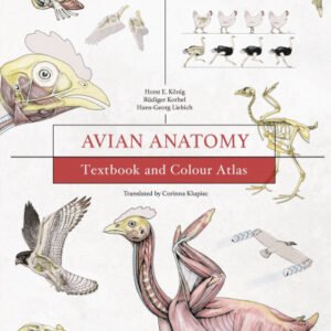 (eBook) Avian Anatomy: Textbook and Colour Atlas, 2nd Edition By Horst E. Koenig