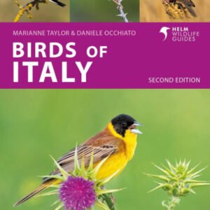 (eBook) Birds of Italy By Marianne Taylor