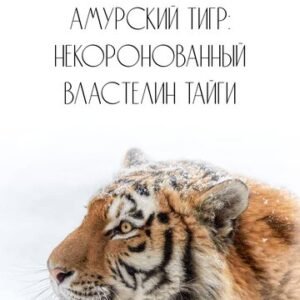 (eBook) Амурский тигр: некоронованный властелин тайги By Ю. М. Дунишенко