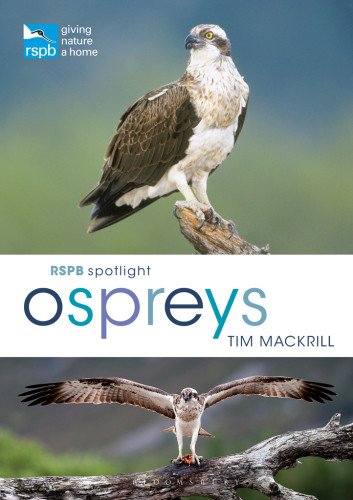 (eBook) RSPB Spotlight Ospreys By Tim Mackrill
