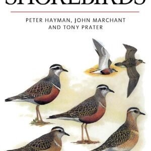 (eBook) Shore Birds By Peter Hayman
