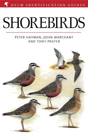 (eBook) Shore Birds By Peter Hayman
