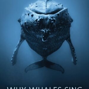 (eBook) Why Whales Sing By Eduardo Mercado III