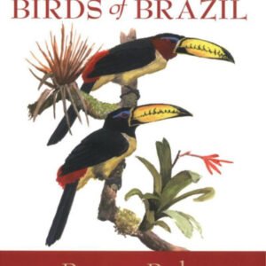 (eBook) A Field Guide to the Birds of Brazil By van Perlo