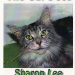 (eBook) The Cat's Job By Sharon Lee