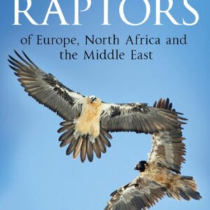 (eBook) Flight Identification of Raptors of Europe, North Africa and the Middle East By Dick Forsman