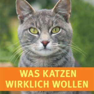 (eBook) Was Katzen wirklich wollen By Pfleiderer Mircea