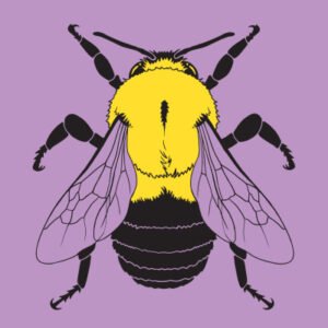 (eBook) Beepedia: A Brief Compendium of Bee Curiosities By Laurence Packer