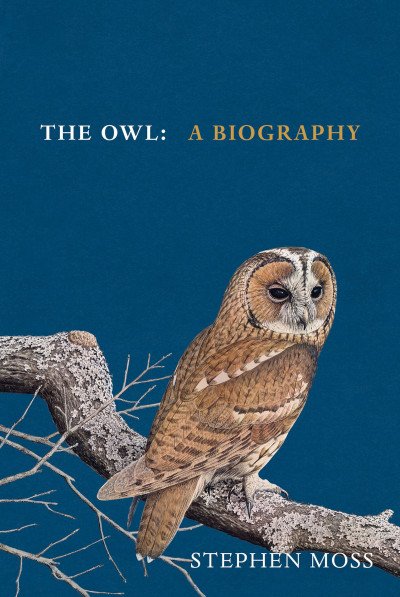 (eBook) The Owl By Stephen Moss