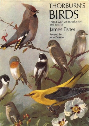 (eBook) Thorburn’s birds By John Parslow