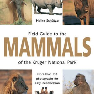 (eBook) Field Guide to Mammals of the Kruger National Park By Heike Schütze